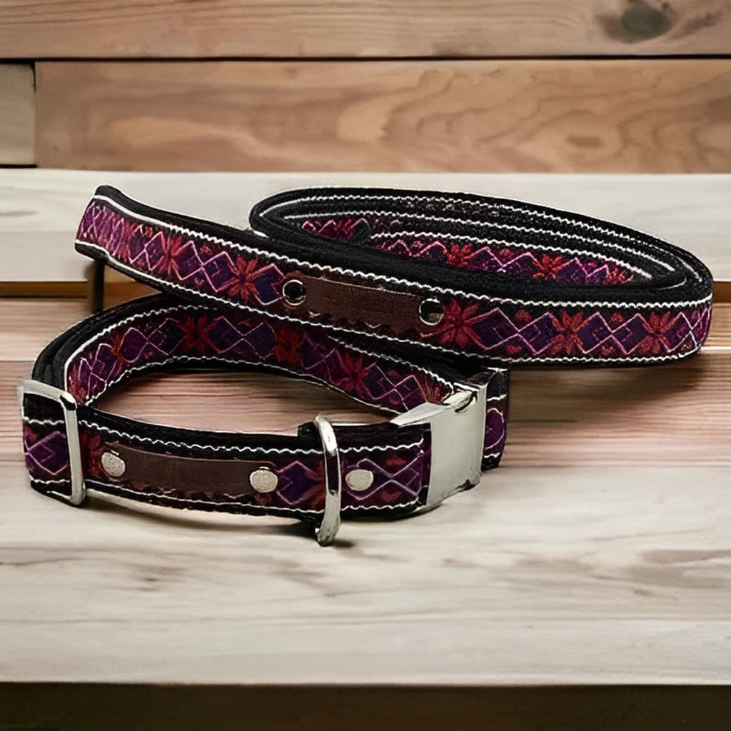 Finnigan's Fabulous Dog Collar Set