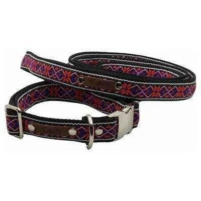 Finnigan's Fabulous Dog Collar Set