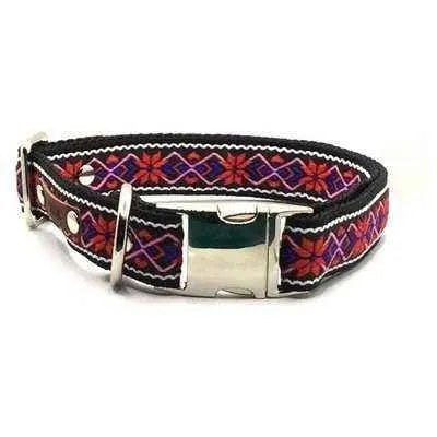 Finnigan's Fabulous Dog Collar Set